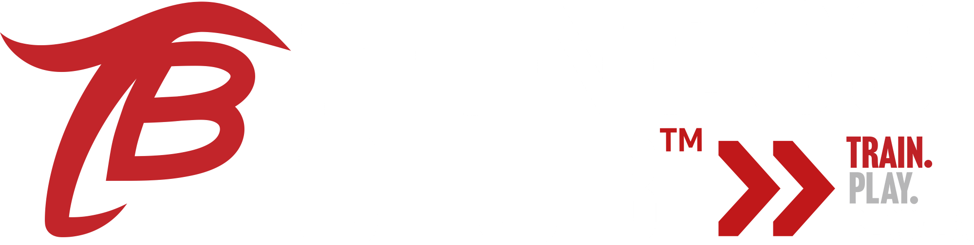 TB Fitness Club